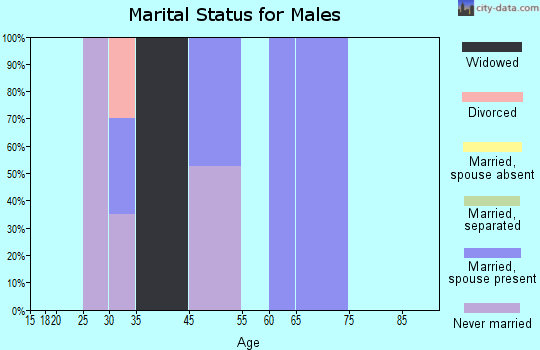Zip code 77326 marital status for males