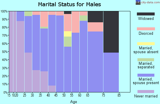 Zip code 77336 marital status for males
