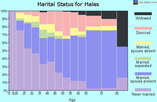 Zip code 77351 marital status for males