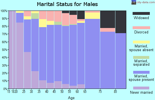 Zip code 77354 marital status for males