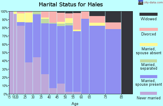 Zip code 77355 marital status for males