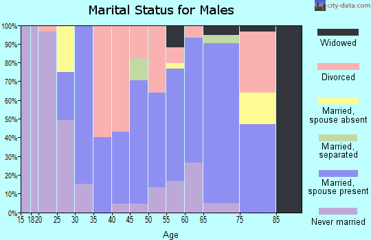 Zip code 77358 marital status for males
