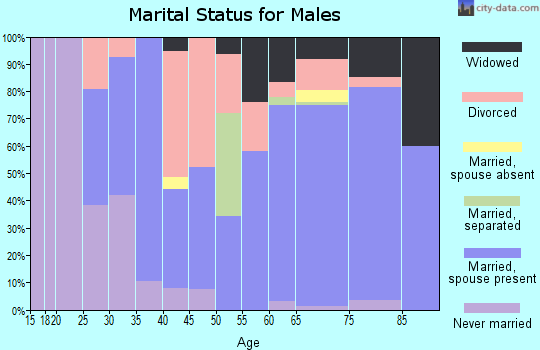Zip code 77360 marital status for males