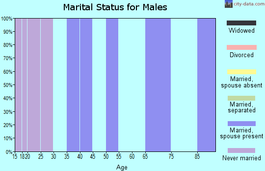 Zip code 77367 marital status for males