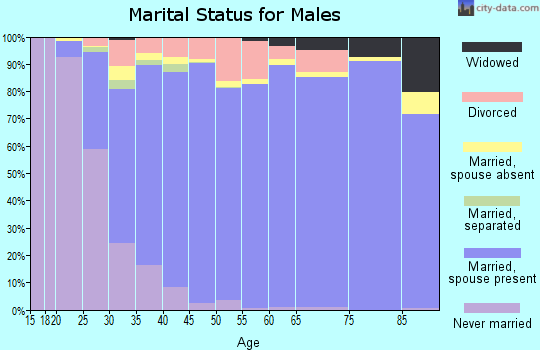 Zip code 77379 marital status for males