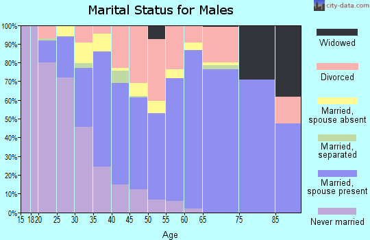 Zip code 77380 marital status for males