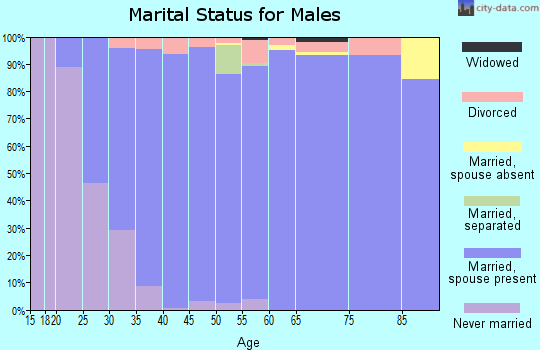 Zip code 77382 marital status for males