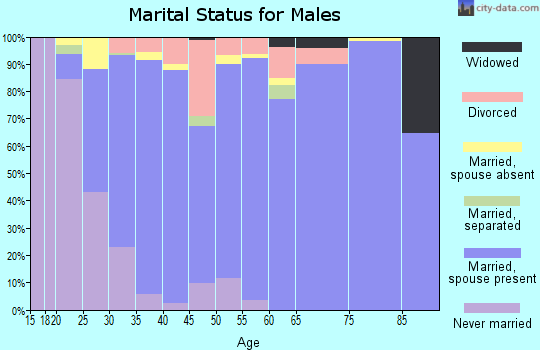 Zip code 77386 marital status