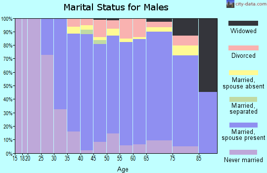 Zip code 77401 marital status for males