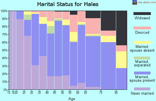 Zip code 77414 marital status for males
