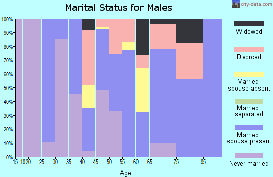 Zip code 77417 marital status for males
