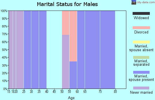 Zip code 77419 marital status for males