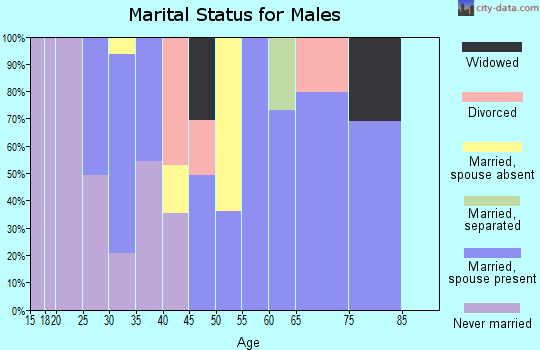 Zip code 77420 marital status for males