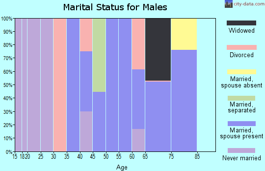 Zip code 77426 marital status for males