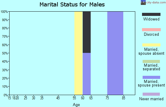 Zip code 77428 marital status for males