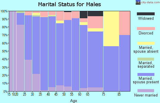 Zip code 77433 marital status for males