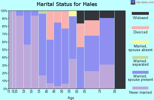 Zip code 77435 marital status for males