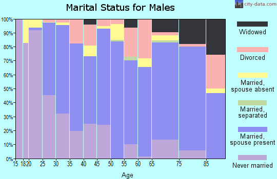 Zip code 77437 marital status for males