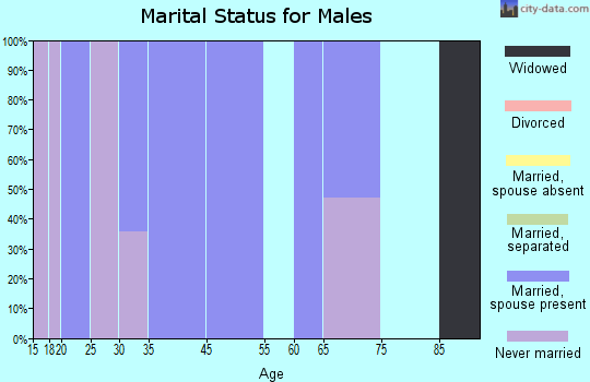 Zip code 77440 marital status for males