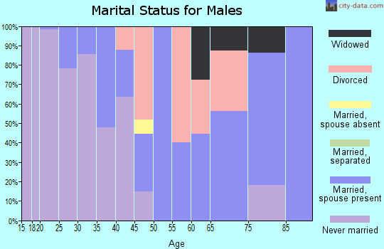 Zip code 77446 marital status for males