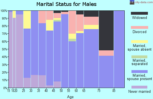 Zip code 77447 marital status for males