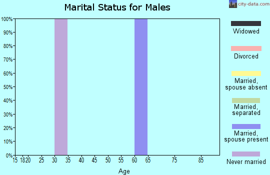 Zip code 77448 marital status for males
