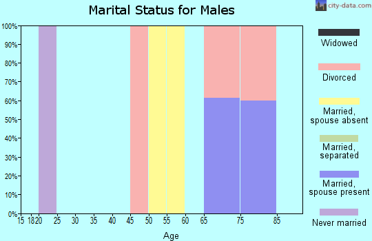 Zip code 77451 marital status for males