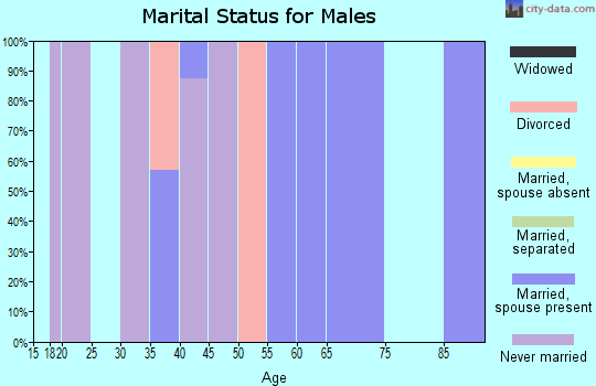Zip code 77456 marital status for males