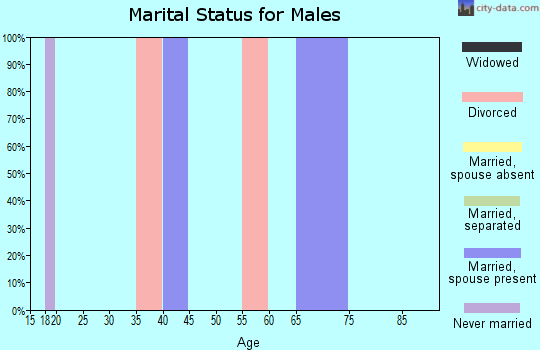 Zip code 77458 marital status for males