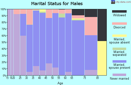 Zip code 77461 marital status for males