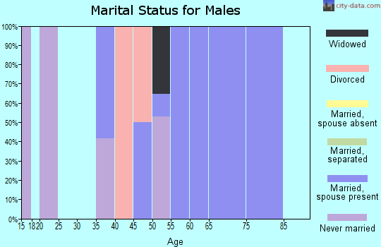 Zip code 77464 marital status for males