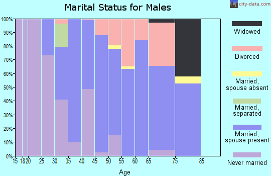 Zip code 77465 marital status for males