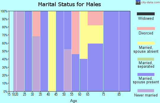 Zip code 77466 marital status for males