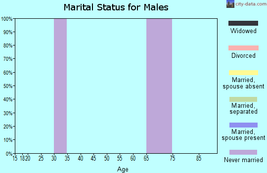 Zip code 77467 marital status for males