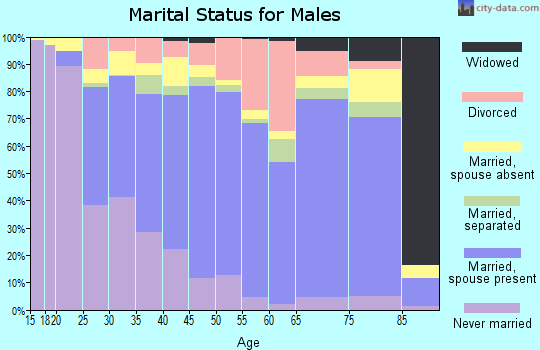Zip code 77469 marital status for males