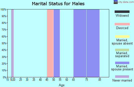 Zip code 77473 marital status for males