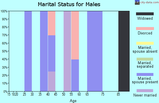 Zip code 77475 marital status for males
