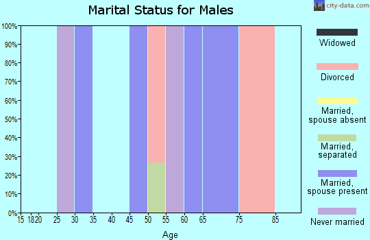 Zip code 77476 marital status for males