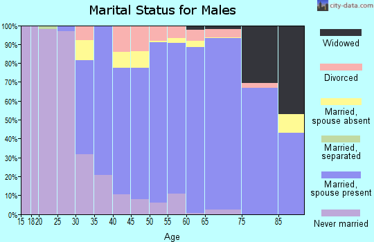 Zip code 77478 marital status for males