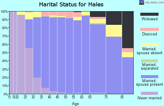 Zip code 77479 marital status