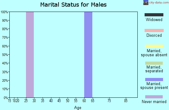Zip code 77481 marital status for males