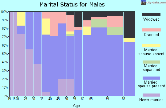 Zip code 77484 marital status for males