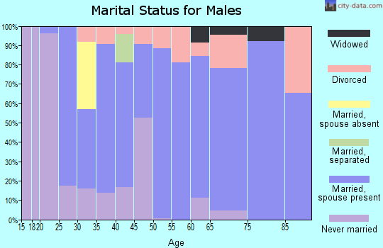 Zip code 77485 marital status for males