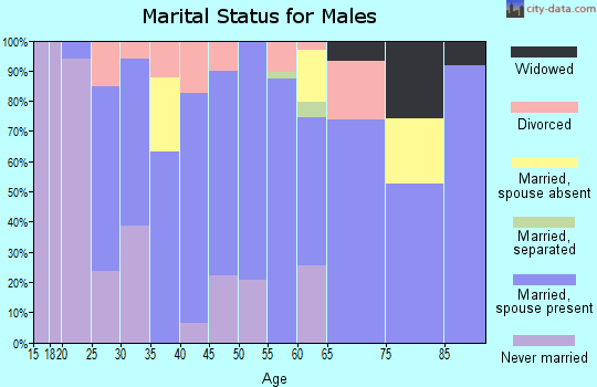 Zip code 77486 marital status for males