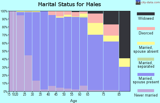 Zip code 77494 marital status