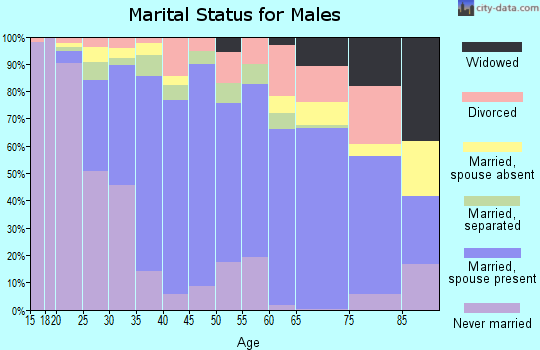 Zip code 77502 marital status