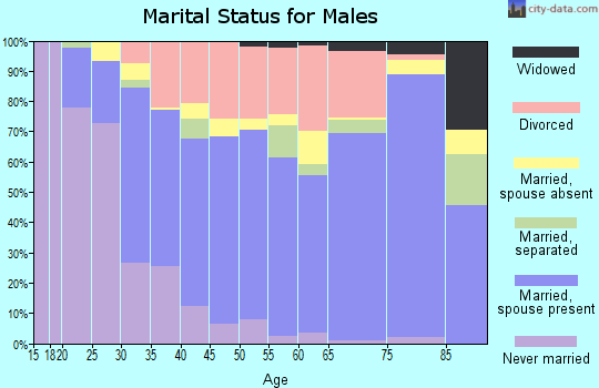 Zip code 77504 marital status for males