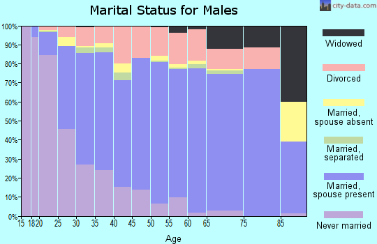 Zip code 77511 marital status for males