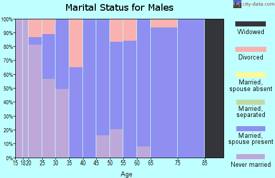 Zip code 77517 marital status for males