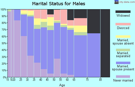 Zip code 77530 marital status for males